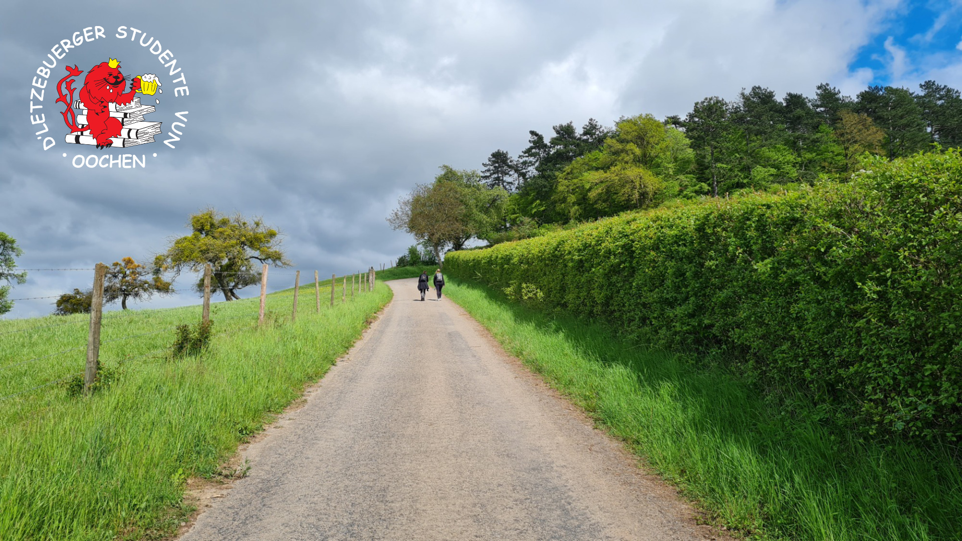 Béierwanderung